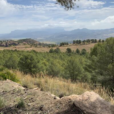 Langs de GR7. Mooiste stuk tot hier toe, niet enkel de klim die adembenemend is!